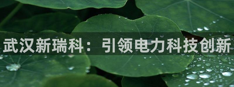 凯发国际网络平台网址