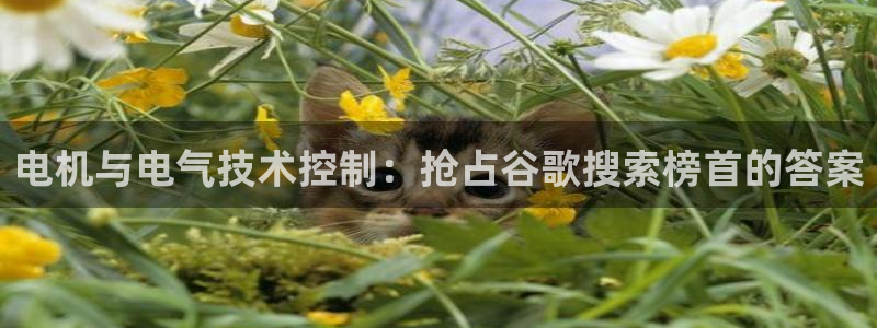 凯发k8娱乐官方版fxzls -安卓3.5