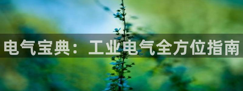 凯发k8官网so选来就送38