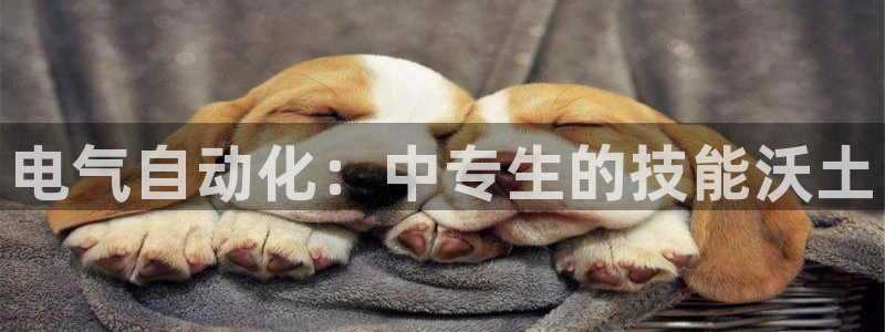 凯发k8娱乐平台