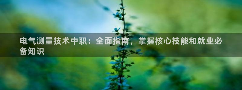 凯发官网地址