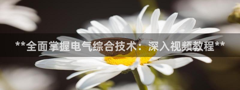凯发k8娱乐官网旗舰厅
