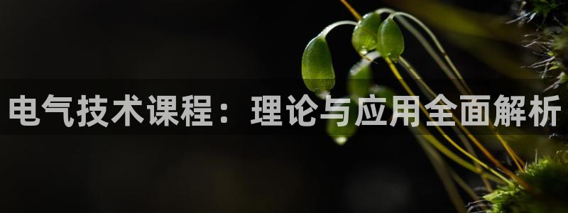 凯发是什么意思