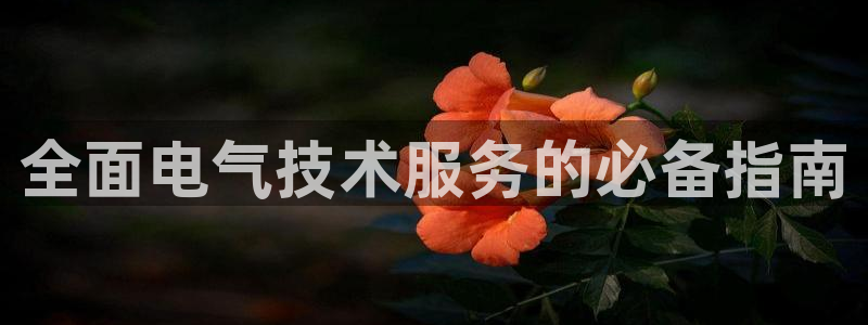 凯发k8娱乐是什么平台