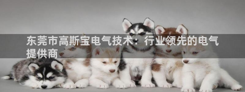 凯发k8娱乐平台网址