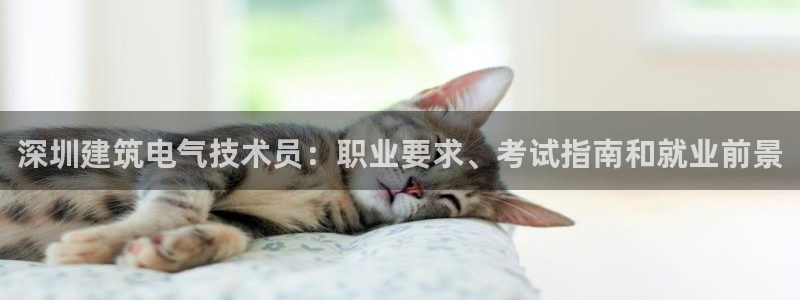 凯发k8娱乐旗舰app下载