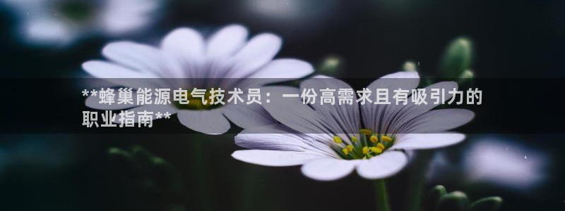 凯发官方在线