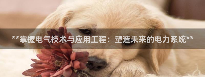 凯发k8国际不能提款了吗