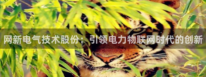 凯发k8娱乐网址多少