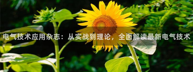 凯发旗舰