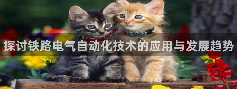凯发k8国际 不能提款了