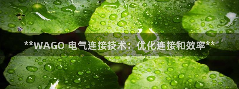 凯发k8娱乐平台