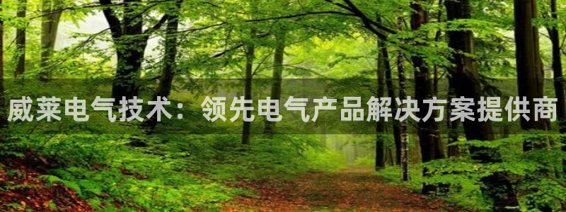 凯发k8娱乐平台下载