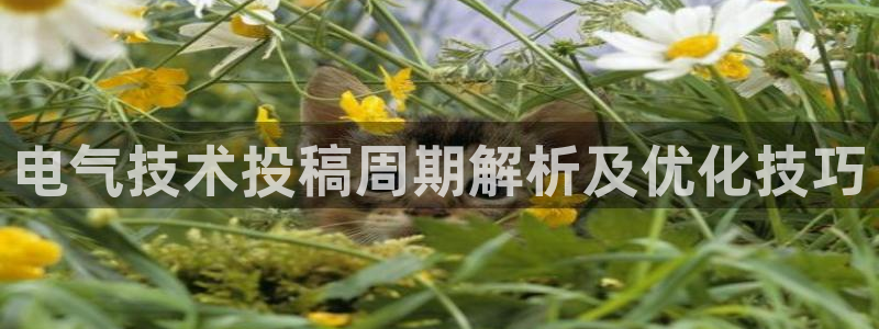 凯发k8国际注册