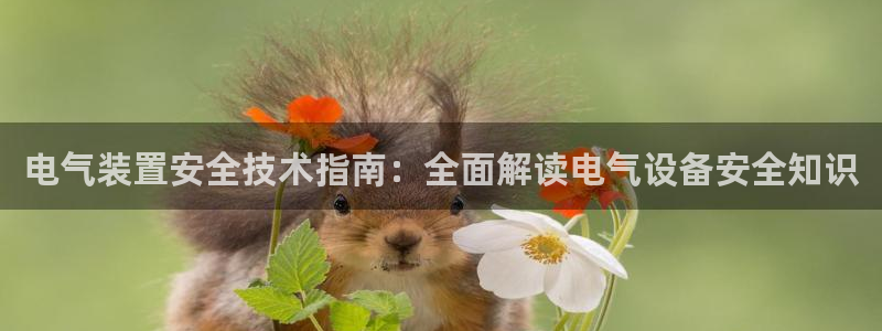 凯发k8官方网娱乐官方