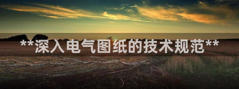 凯发k8娱乐官网旗舰厅：**深入电气图纸的技术规范
