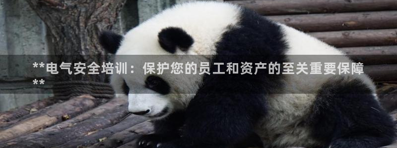 凯发k8娱乐旗舰：**电气安全培训：保护您的员工和