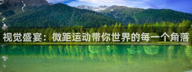 谈球吧体育官网：视觉盛宴：微距运动带你世界的每一个角落