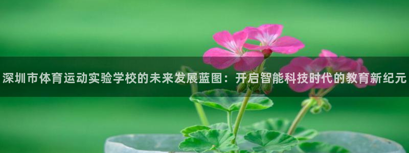 谈球吧体育官网：深圳市体育运动实验学校的未来发展蓝图：开启智能科技时代的教育新纪元