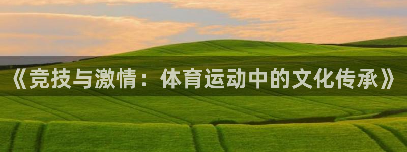 谈球吧：《竞技与激情：体育运动中的文化传承》