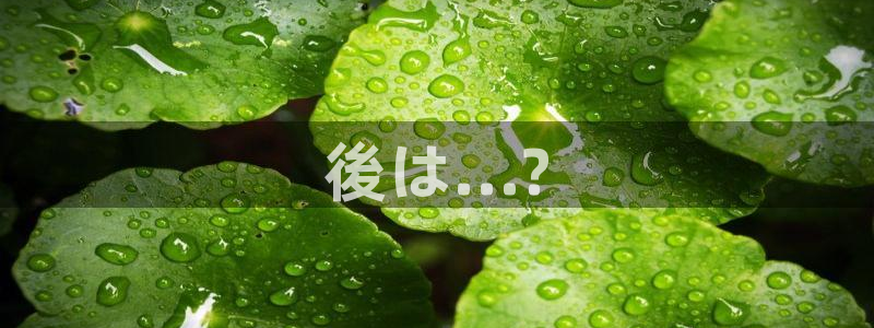 谈球吧体育：後は...?