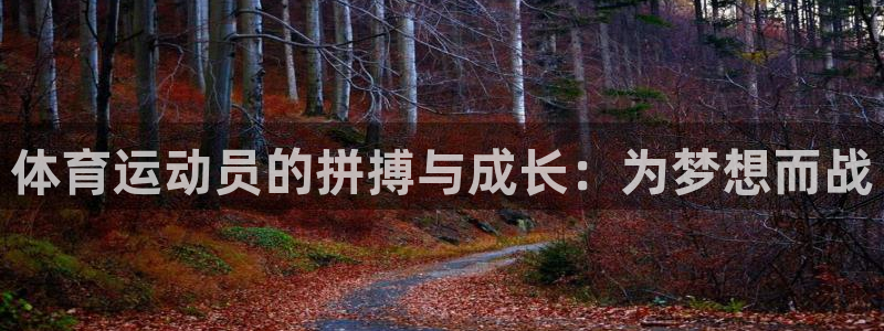 谈球吧体育官网：体育运动员的拼搏与成长：为梦想而战